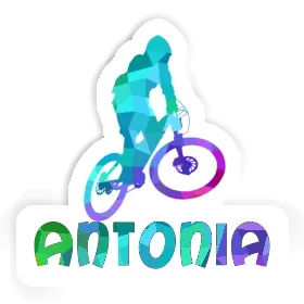 Sticker Downhiller Antonia Image