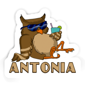 Sticker Antonia Owl Image