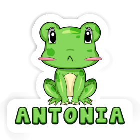 Autocollant Grenouille Antonia Image