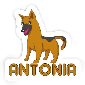 Sticker German Shepherd Antonia Image