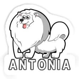 Antonia Sticker German Spitz Image