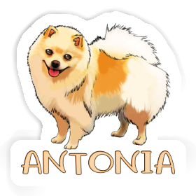 Sticker Antonia German Spitz Image