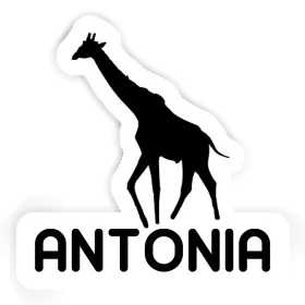 Autocollant Girafe Antonia Image