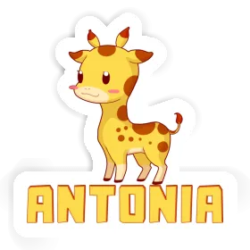 Sticker Giraffe Antonia Image