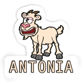 Goat Sticker Antonia Image