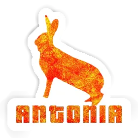 Sticker Rabbit Antonia Image