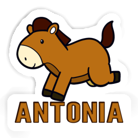 Antonia Sticker Horse Image