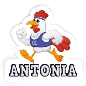 Sticker Runner Antonia Image