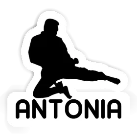 Antonia Sticker Karateka Image