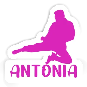 Antonia Autocollant Karatéka Image