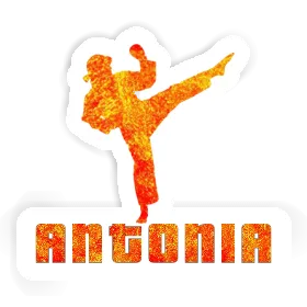 Karateka Sticker Antonia Image