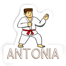 Antonia Aufkleber Karateka Image