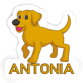 Autocollant Chien Antonia Image