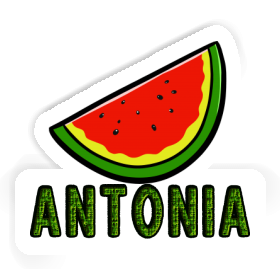 Sticker Antonia Watermelon Image