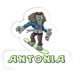 Autocollant Antonia Snowboardeur Image