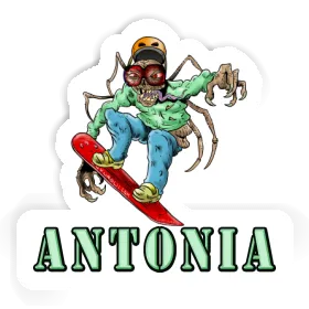 Autocollant Antonia Snowboardeur Image