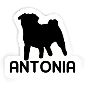 Antonia Sticker Pug Image