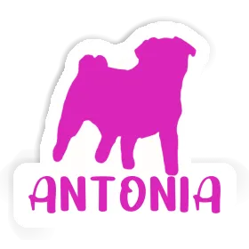 Antonia Sticker Pug Image