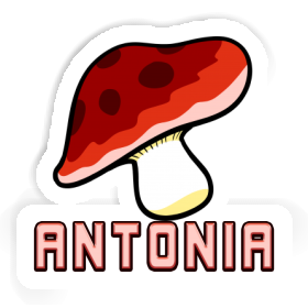 Mushroom Sticker Antonia Image