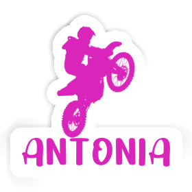 Autocollant Motocrossiste Antonia Image