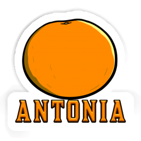 Orange Sticker Antonia Image