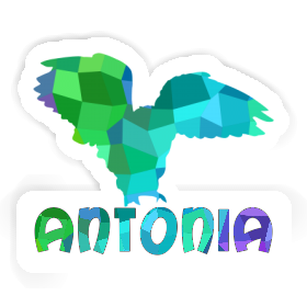 Sticker Antonia Owl Image