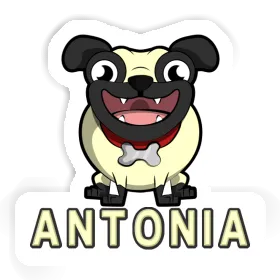 Pug Sticker Antonia Image