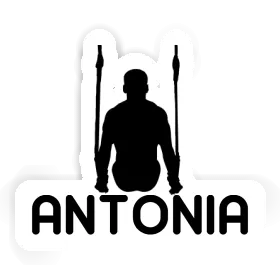 Sticker Antonia Ring gymnast Image