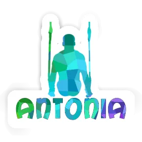 Antonia Sticker Ring gymnast Image