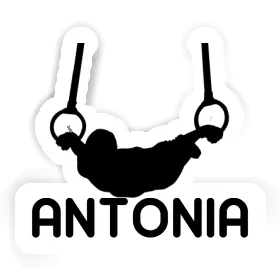 Sticker Ring gymnast Antonia Image