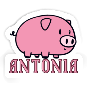 Antonia Aufkleber Schwein Image