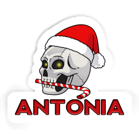 Sticker Christmas Skull Antonia Image