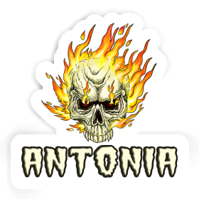 Antonia Sticker Skull Image