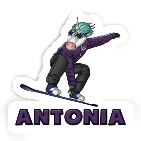 Snowboardeuse Autocollant Antonia Image