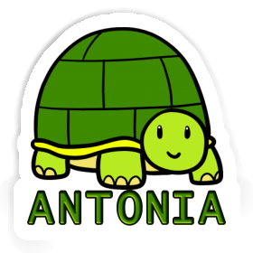 Sticker Turtle Antonia Image