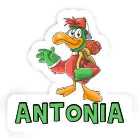 Antonia Sticker Hiker Image