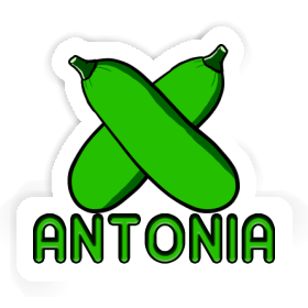 Zucchini Sticker Antonia Image