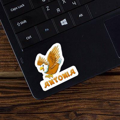 Sticker Antonia Eagle Notebook Image