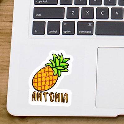 Antonia Aufkleber Ananas Laptop Image