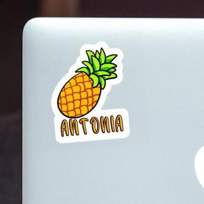 Antonia Aufkleber Ananas Laptop Image