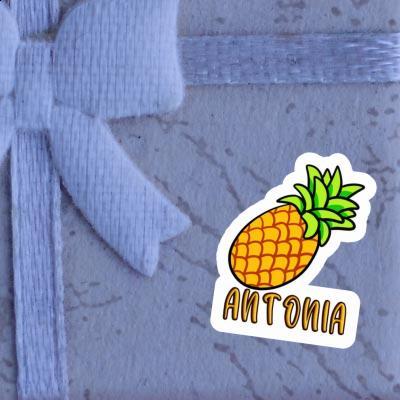 Sticker Antonia Pineapple Notebook Image