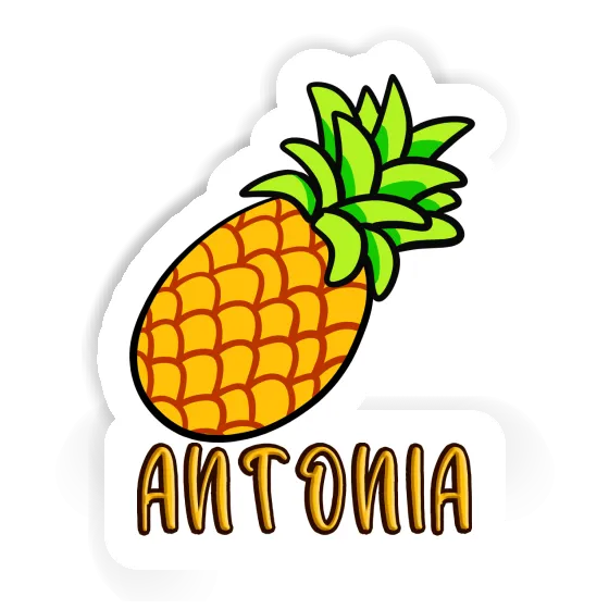 Antonia Autocollant Ananas Image