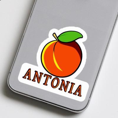 Apricot Sticker Antonia Laptop Image