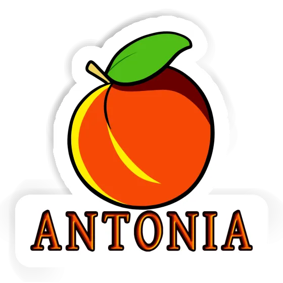 Apricot Sticker Antonia Laptop Image