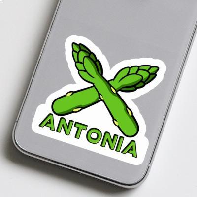 Sticker Antonia Asparagus Image