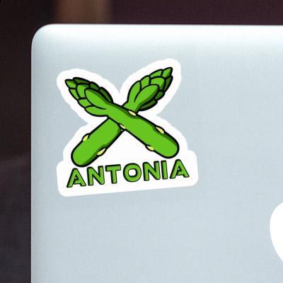 Sticker Antonia Asparagus Notebook Image