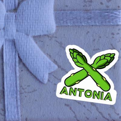 Sticker Antonia Asparagus Notebook Image