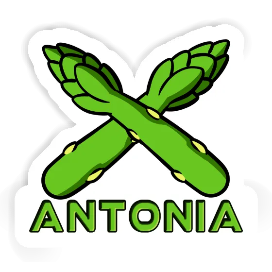 Sticker Antonia Asparagus Notebook Image