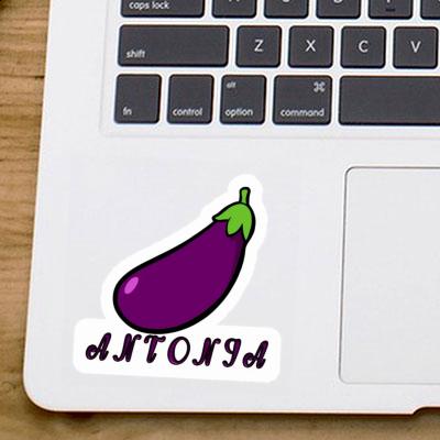 Aubergine Sticker Antonia Image