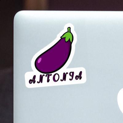 Aubergine Aufkleber Antonia Laptop Image